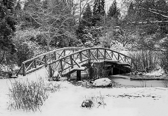 The Wooden Bridge