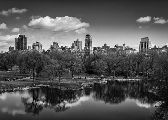 The Park
