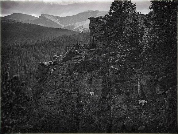 On a Mountainside