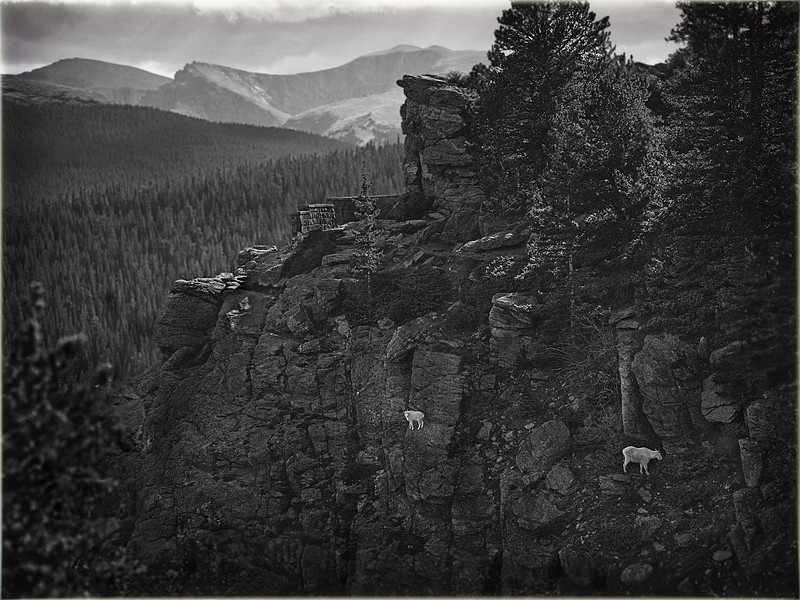 On a Mountainside