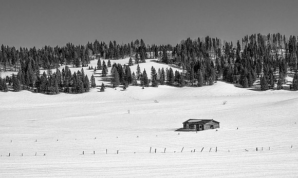 Desolate and Snowy
