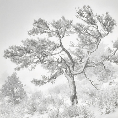 White-Out