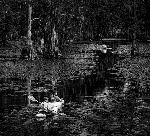 Cypress Passage